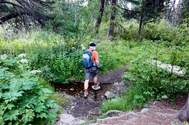 Creek crossing