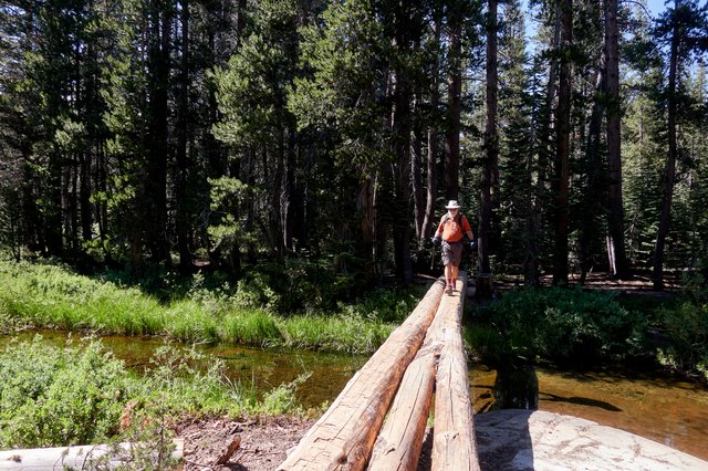 Creek crossing, Johnston Meadow