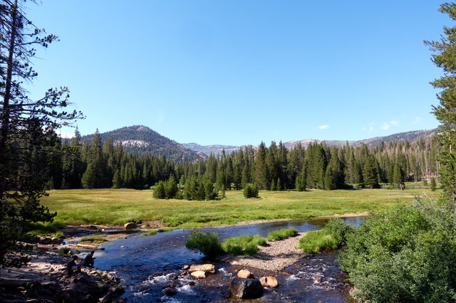 Meadow at Devils Postpile