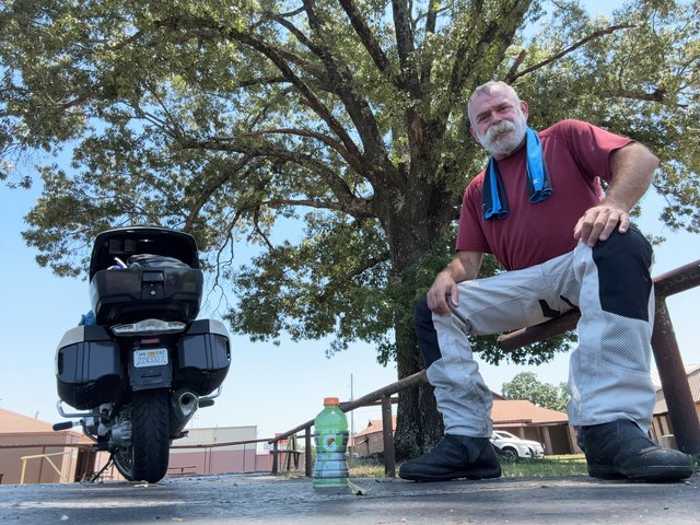 Shady oak tree, Oden AR