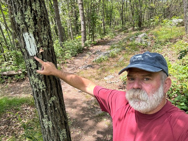 The Appalachian Trail.  Also mainly just looks at trees.