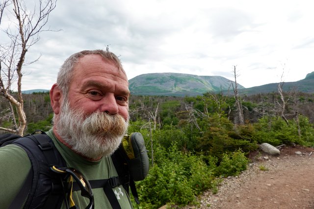 Gros Morne, a big old lump of quartzite that the glaciers flowed around