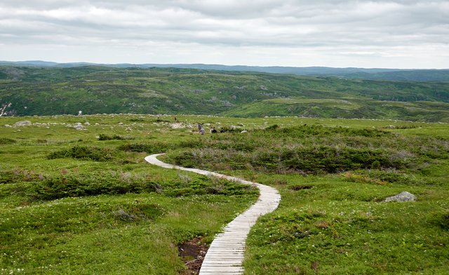 Good boardwalking