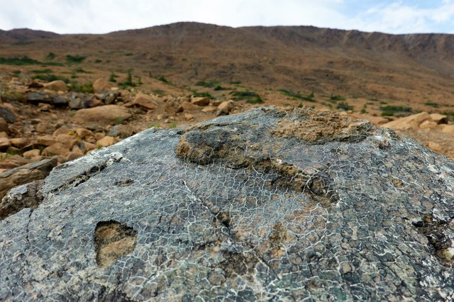 Rock undergoing serpentinization