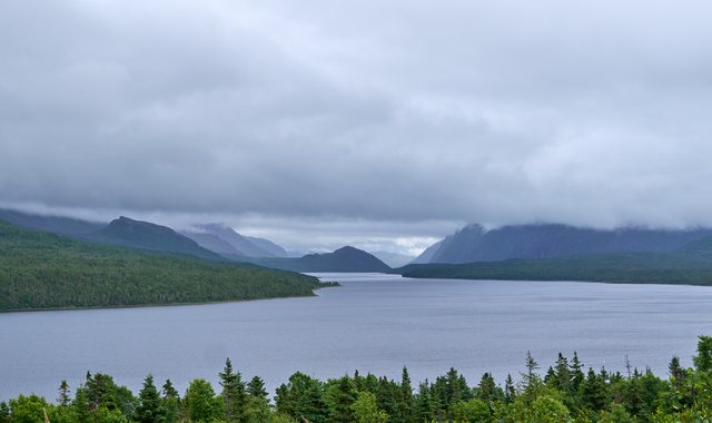 Trout River Pond (or fjord)