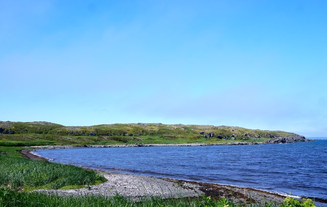 The cove shoreline