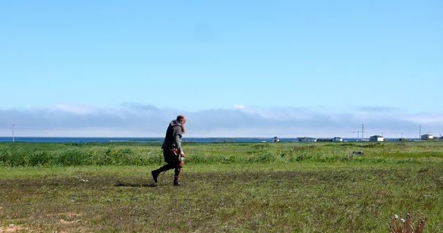 Viking striding