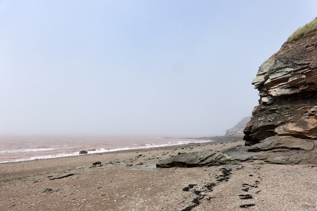 Beach at Joggins Cliffs