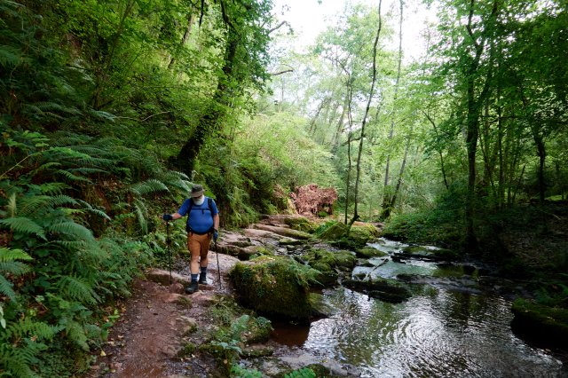 Along the creek