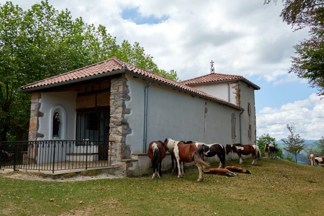 Chapel, horse animals