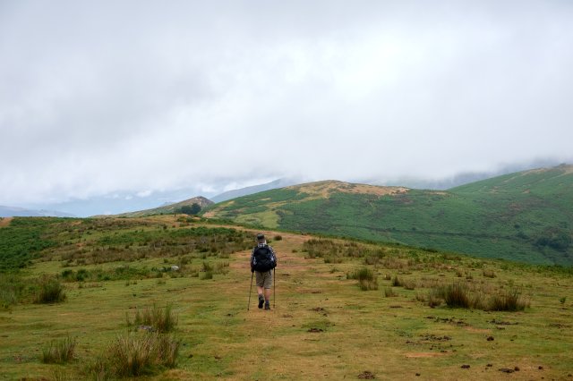 Along the ridgeline