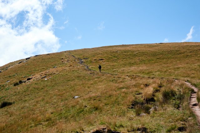 Grassy highlands