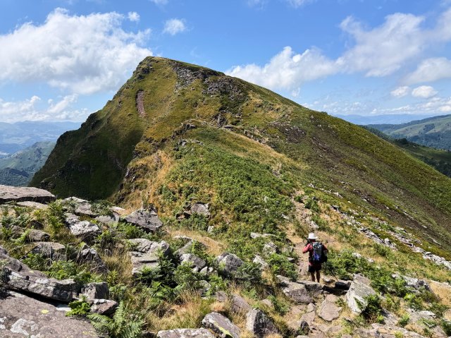 Hey another peak