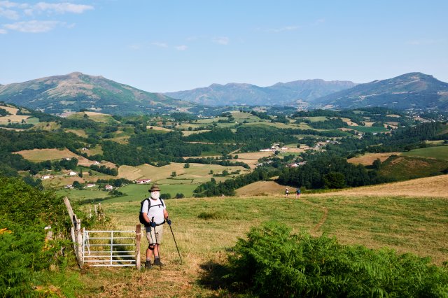 Up into the shadeless hills