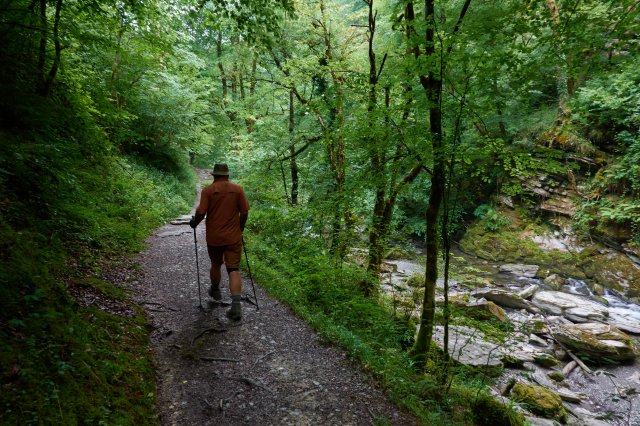 Along the stream