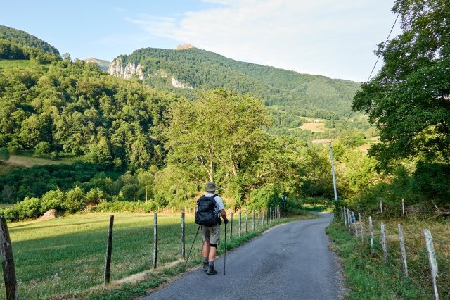 Down to the valley
