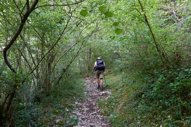 Today's theme: uphill