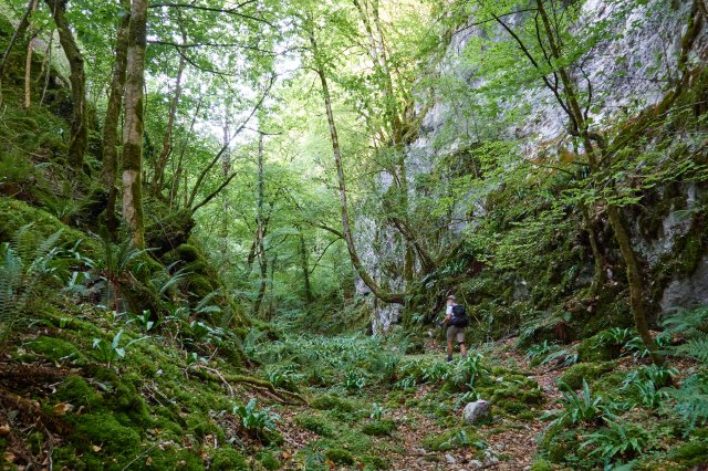 Pretty gorge
