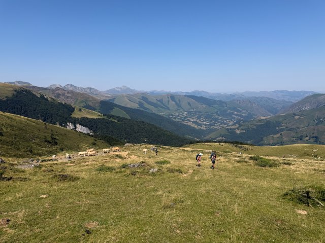 Vistas