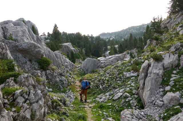 Through the limestone