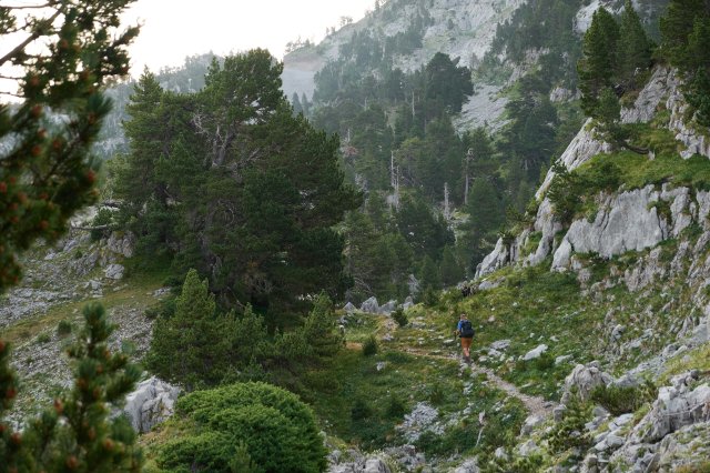 To the col