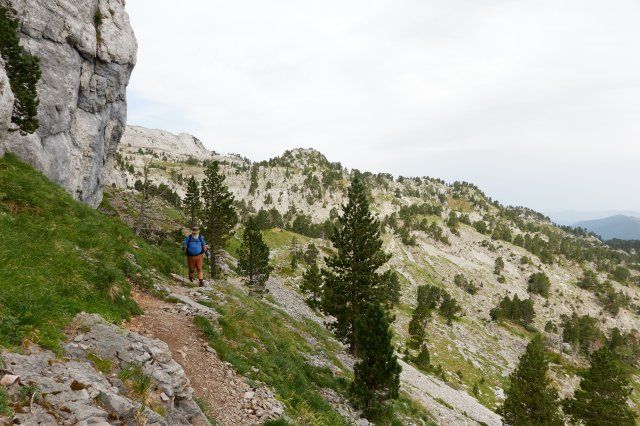 Up to the col