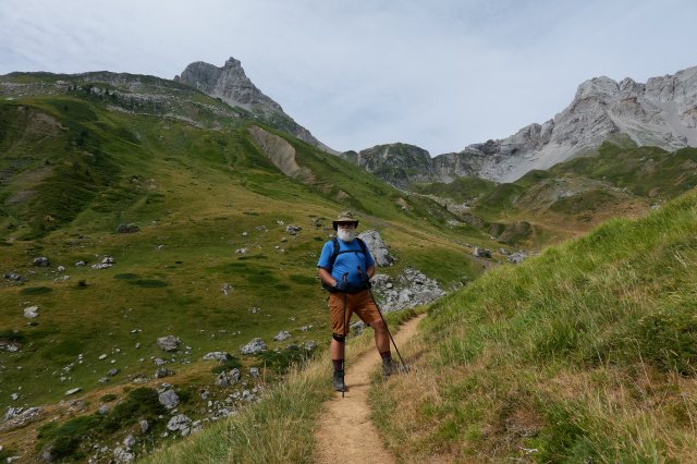 Bear on the trail
