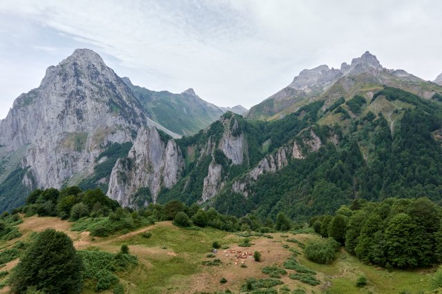 Crazy looking mountains