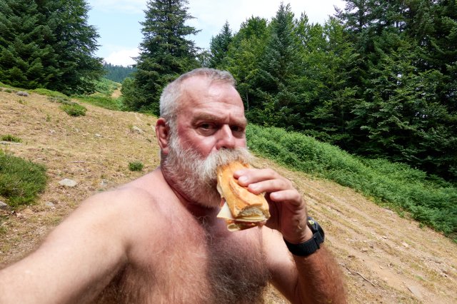 Drying out after getting soggy.  Best sandwich yet