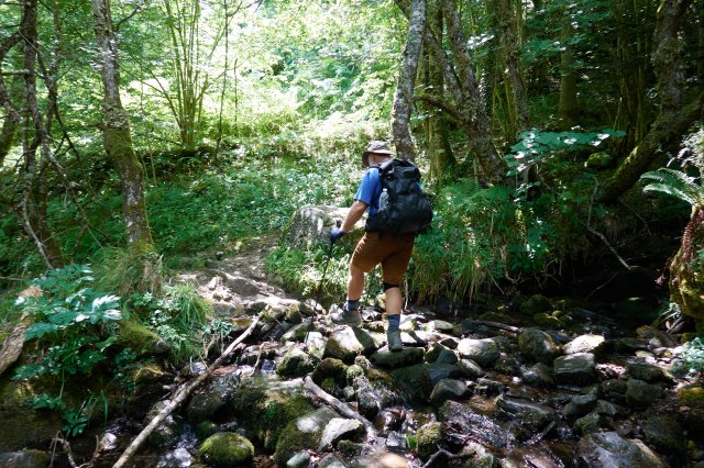 Stream crossing