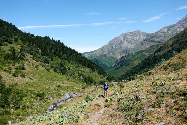 Up the valley