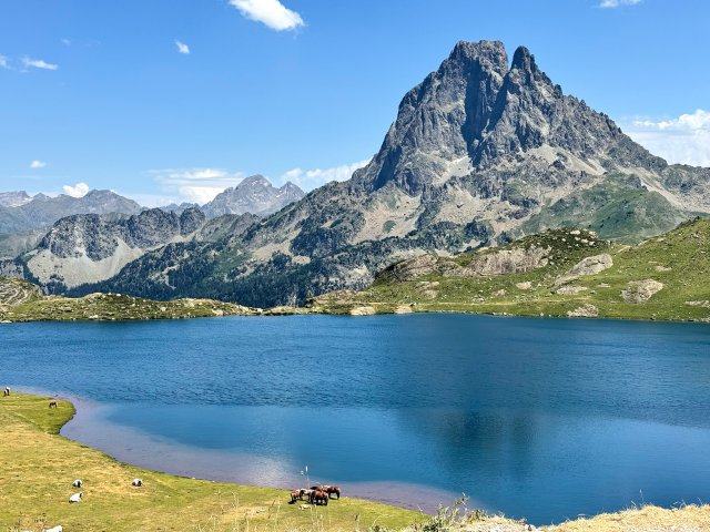 Horses and lake and mountain