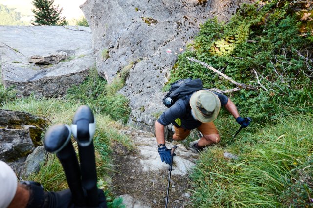 Below treeline, so climbing sometime