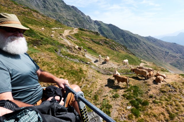 Ok, back down via the cows