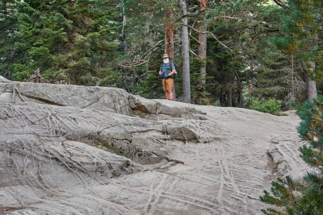 Veined granite