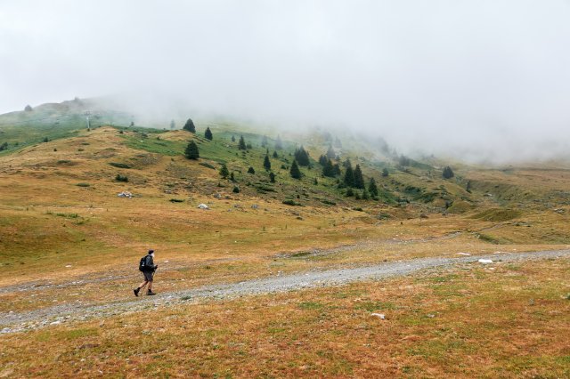 Through the ski field/pasture to the refuge