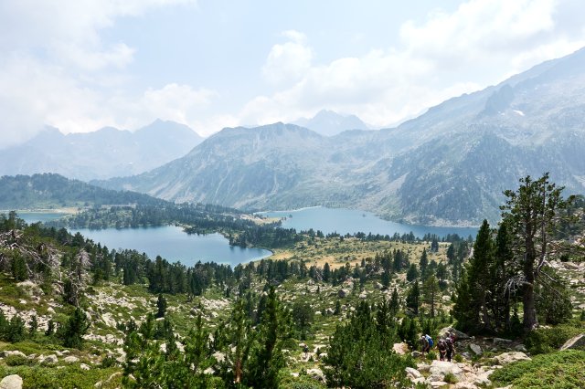 Lake view