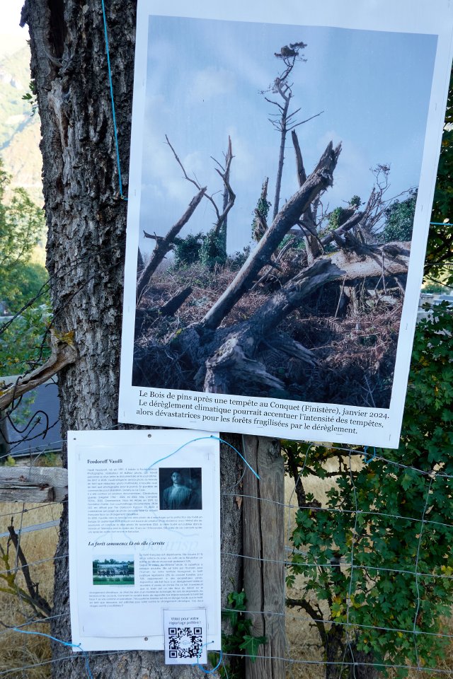 Oooh public art