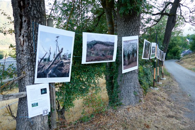 The exhibition