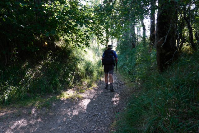 Up the track