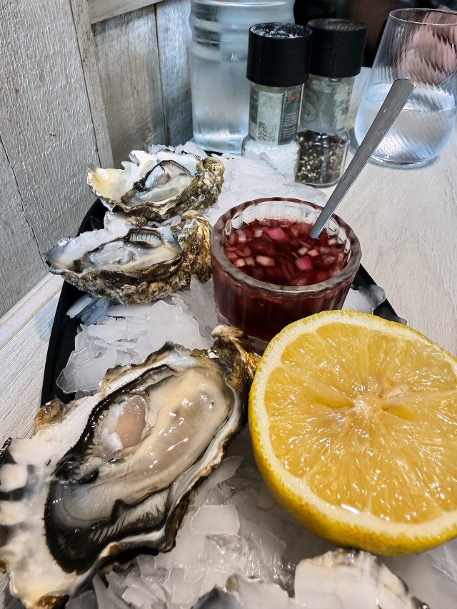 Oysters