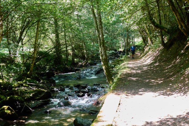 Stream